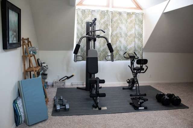 Best Home Gym Setup